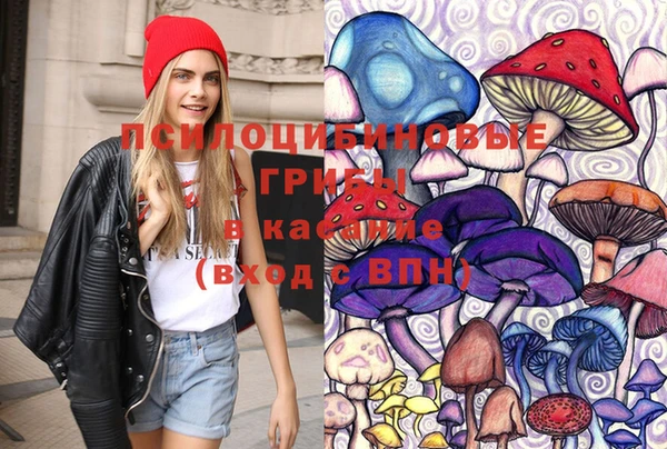 PSILOCYBIN Баксан