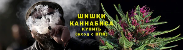 PSILOCYBIN Баксан