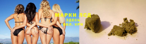 PSILOCYBIN Баксан